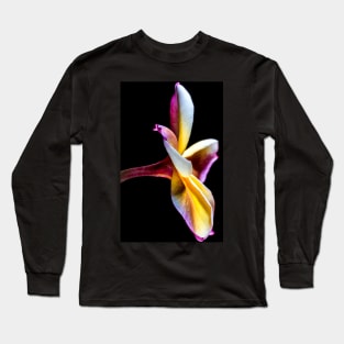 plumeria-flowers-frangipani-floral-awesome-bossom-shirtyshirto-32 Long Sleeve T-Shirt